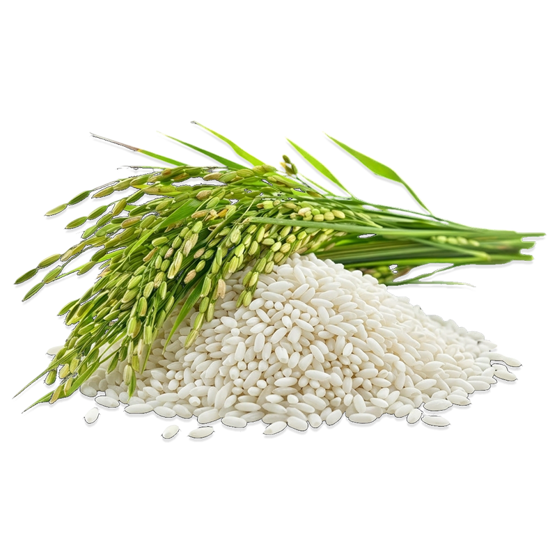 Organic Sweet Glutinous Rice