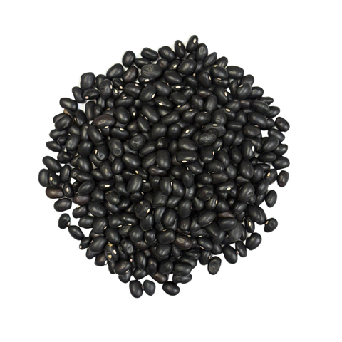 SFMart Season Black Bean with Yellow Kernel (서안태) 2lbs Bean & Lentil- SFMart