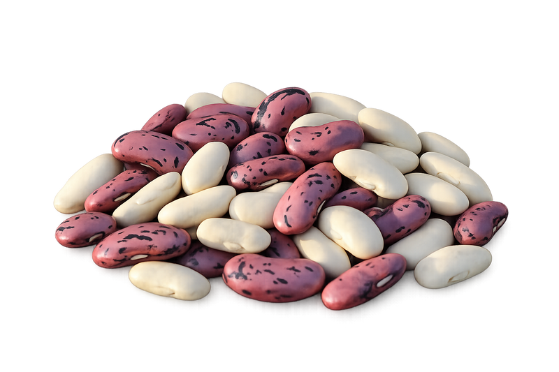 Organic Bean