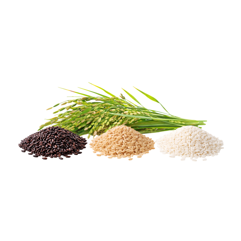 12LBS McCabe Organic Rice