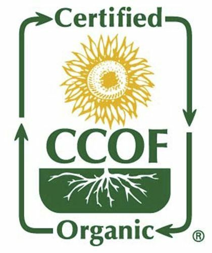SFMart McCabe Organic Rye Berries, 2lbs Grain & Rice- SFMart
