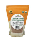 SFMart McCabe Organic Crimson Clover Sprouting Seeds (1lb) Sprouting Seeds- SFMart