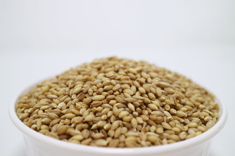 SFMart McCabe Organic Tamalpais Hulless Barley (유기농 타말파이스 순보리) 3lb Grain & Rice- SFMart