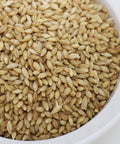 SFMart McCabe Organic Tamalpais Hulless Barley (유기농 타말파이스 순보리) 3lb Grain & Rice- SFMart