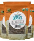 McCabe McCabe Organic French Green Lentils, 1-Pound Bean & Lentil- SFMart